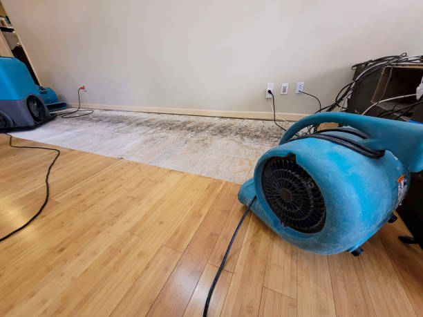 Professional Water Damage Repair technician working in Davis, SD
